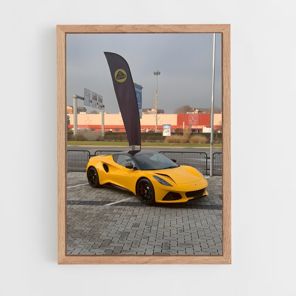 Poster Emira cœur – affiche Lotus (vue 4)